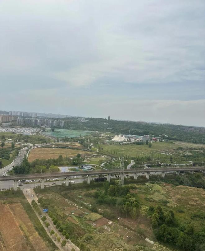 成都宠物消费、低空等体验式新场景爆火开元ky棋牌“五一”消费引力场③丨(图2)