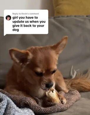 ！毛孩子偷偷塞了件东西全网都被暖哭了…开元棋牌app出差打开行李箱直接泪崩