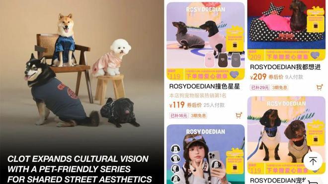 大市场赵露思、陈冠希纷纷加入开元棋牌试玩3000亿猫狗