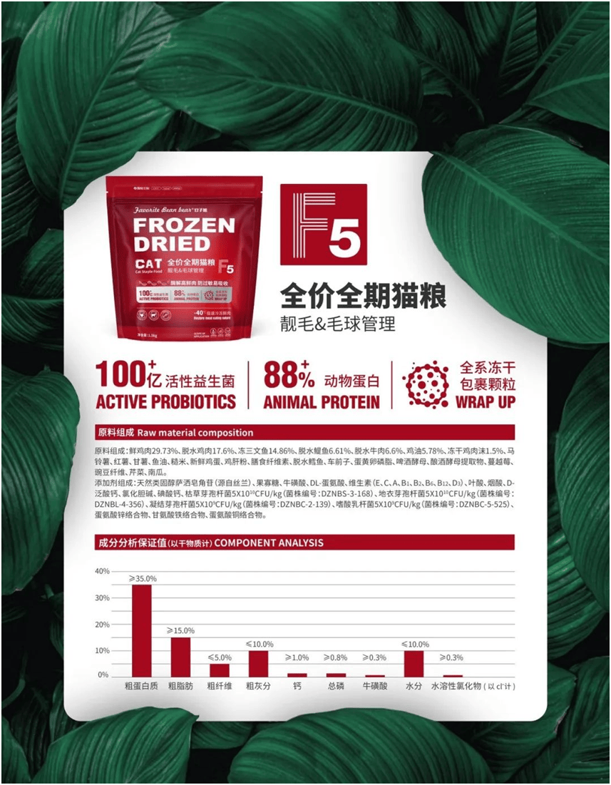 品品牌上新不断上心永远开元棋牌豆子熊宠物食(图1)